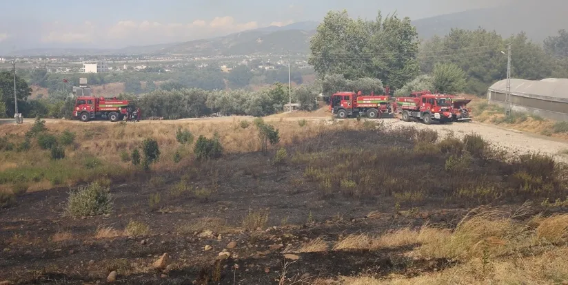HATAY