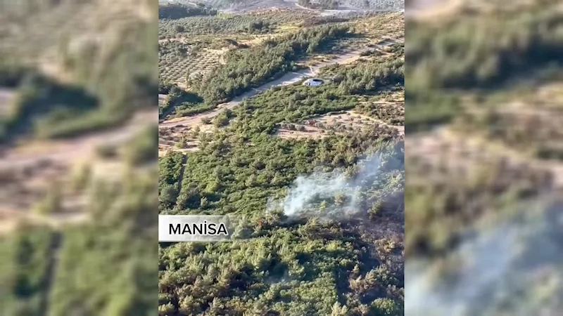 Tarım ve Orman Bakanı Yumaklı: 