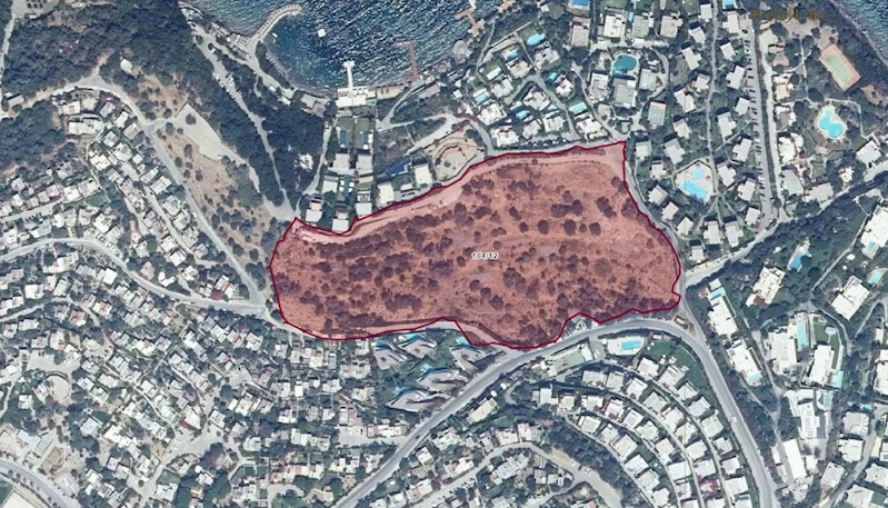 Bodrum’da zeytinlik alandaki otel projesine “ÇED gerekli değildir” kararı verildi