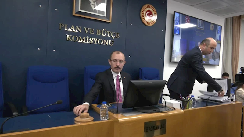 En düşük emekli maaşının 12 bin 500 liraya yükseltilmesini de içeren vergi paketinin görüşmeleri, Plan ve Bütçe Komisyonu