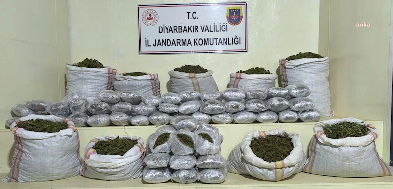 Diyarbakır’da ,2 milyon 669 bin kök kenevir ve skunk bitkisi ele geçirildi