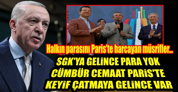ERDOĞAN: ELEŞTİRİLECEK OLAN, HALKIN PARASINI PARİS