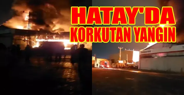  HATAY