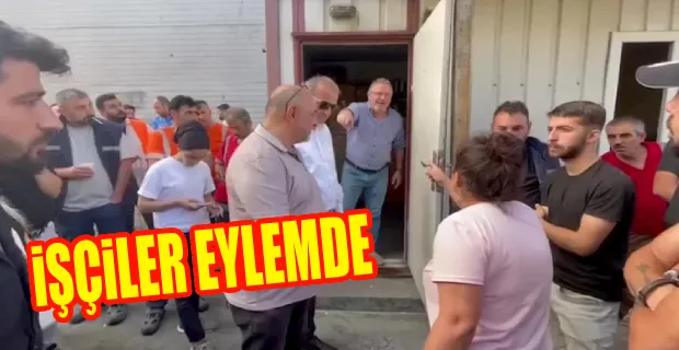 CarrefourSA deposunda taşeron firmada çalışan işyeri temsilcileri işten çıkarıldı