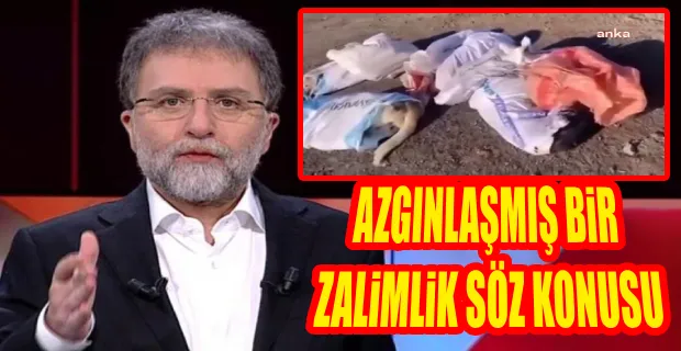 Yasa çıkar çıkmaz pek çok noktadan gelen hayvan katliamı haberleri üzerine AK Parti içinden yasaya tepkiler artıyor