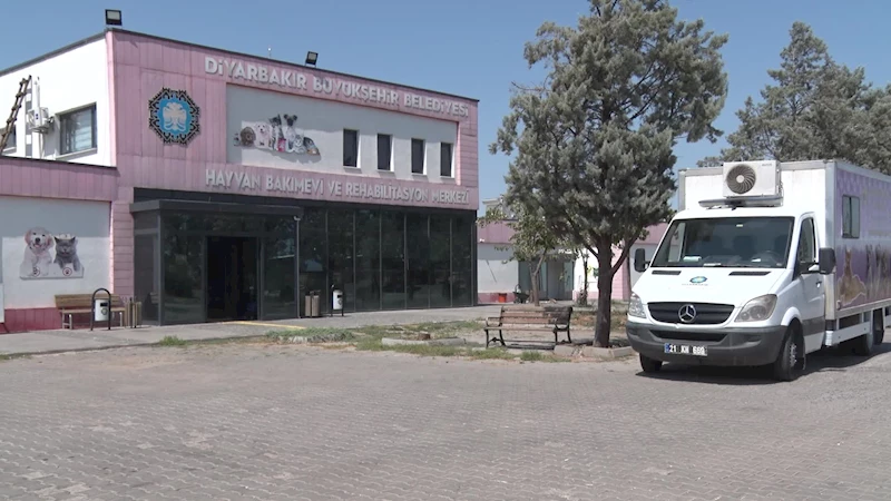 Diyarbakır’da sokak hayvanları için mobil kısırlaştırma aracı hizmete alındı