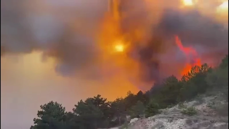 Bolu Göynük Bekirfakılar köyü mevkiindeki ormanlık alanda yangın