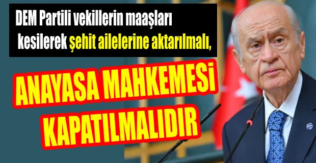 Devlet BahçeliDemparti ve AYM