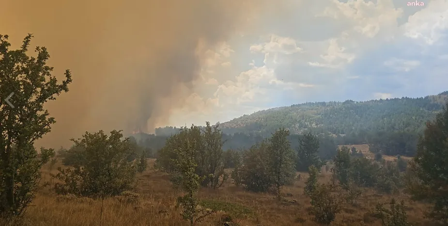 Ankara-Bolu sınırında orman yangını devam ediyor... İki köyden 123 vatandaş tahliye edildi