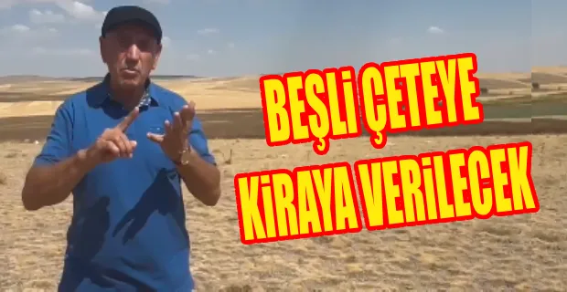 CHP