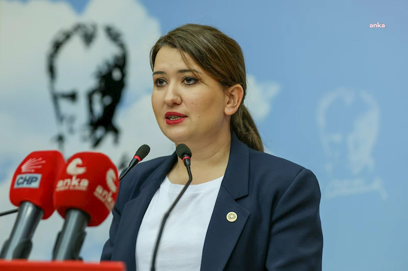 Gökçe Gökçen: Niğde