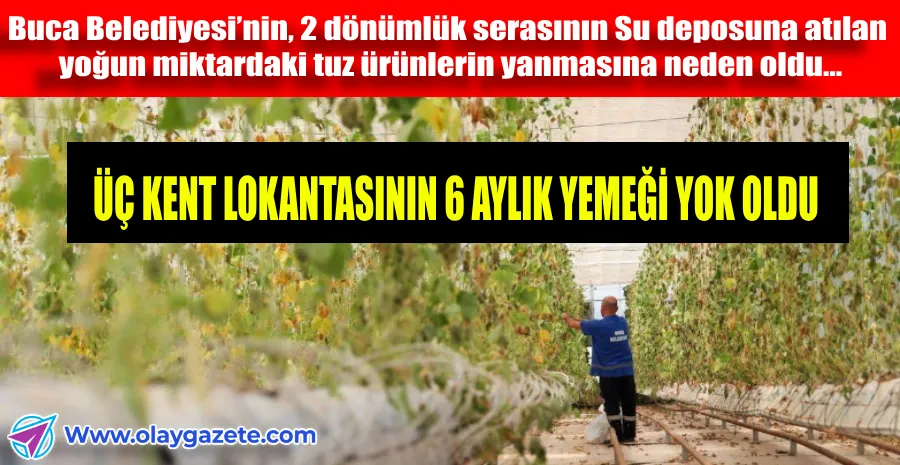 BUCA BELEDİYESİ’NİN SERASINA SALDIRI...
