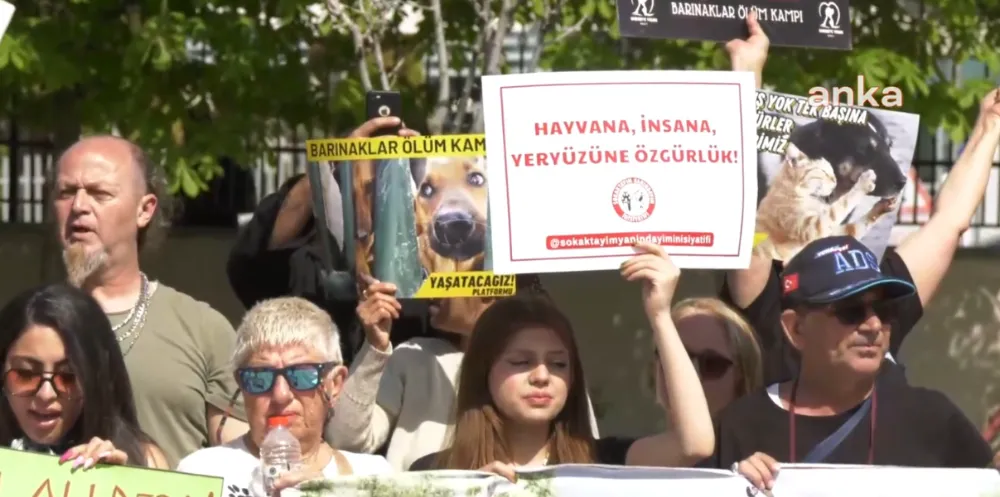 KATLİAM YASASININ İPTALİ GÖRÜŞÜLÜRKEN YURTTAŞLAR AYM ÖNÜNDE! 
