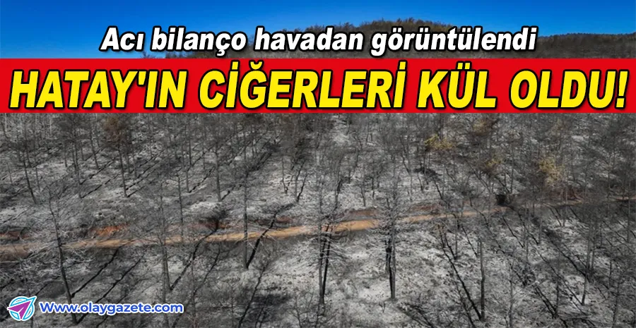 HATAY