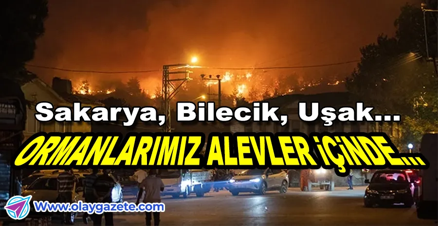 SAKARYA, BİLECİK, UŞAK... ORMANLARIMIZ YANIYOR!