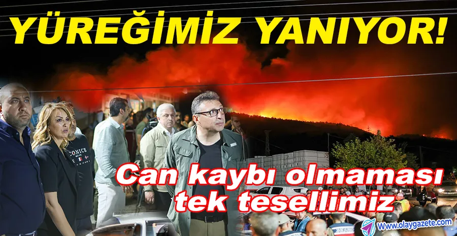 CHP