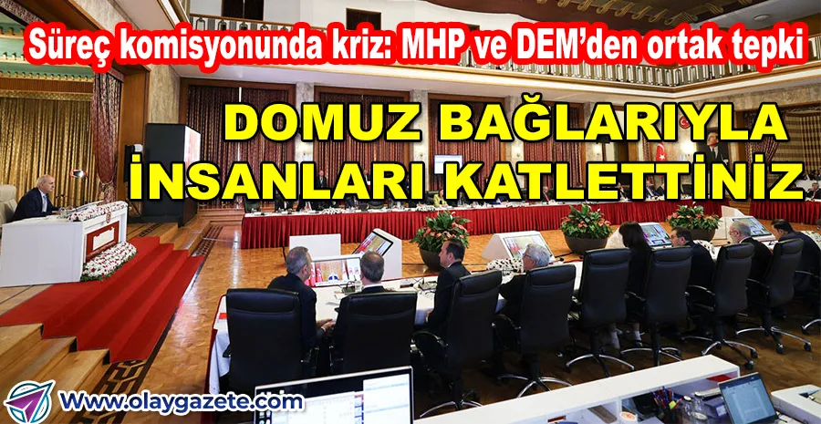 KOMİSYONDA “DOMUZ BAĞI” KRİZİ! DEM PARTİ SALONU ETERK TTİ