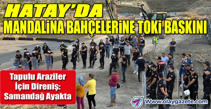 SAMANDAĞ’DA MANDALİNA BAHÇELERİ İÇİN DİRENİŞ: POLİS MÜDAHALE ETTİ, KÖYLÜLER YARALANDI