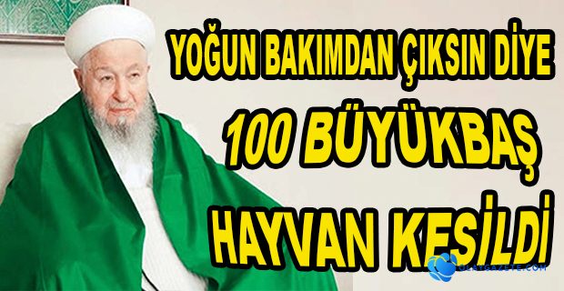 100 BÜYÜKBAŞ HAYVAN KESİLDİ 