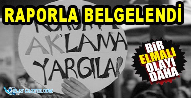 10 YAŞINDAKİ İKİZLERİN GÜNLÜĞÜ HER ŞEYİ ORTAYA ÇIKARDI