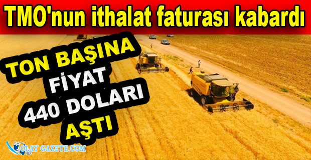 150 BİN TON BUĞDAY İTHAL EDİLDİ!