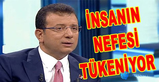 2-3 HAFTALIK BİR SOKAĞA ÇIKMA YASAĞINI UYGULAMAMAKTA NİÇİN DİRENİRLER; ANLAMIŞ DEĞİLİM