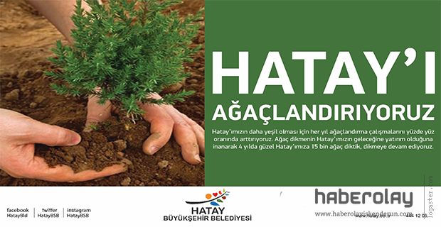 4 YILDA 15 BİN AĞAÇ TOPRAĞA MERHABA DEDİ