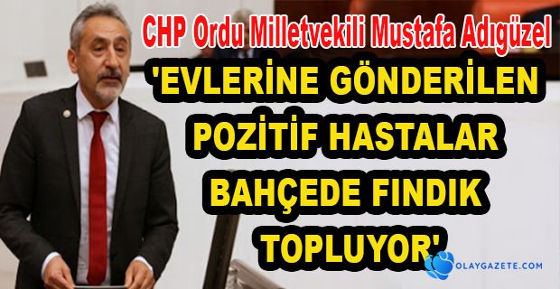 ADIGÜZEL :KARANTİNADA OLMASI GEREKENLER FINDIK TOPLUYOR