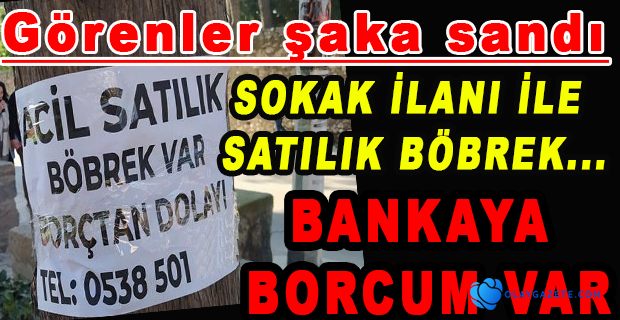 AĞAÇLAR, DİREKLER VE DUVARLARA BÖBREK SATIŞ İLANI YAPIŞTIRDI