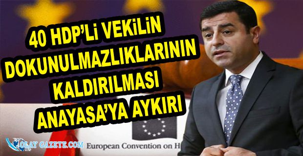 AİHM’DEN DEMİRTAŞ VE HDP’Lİ 40 VEKİL HAKKINDA DİKKAT ÇEKEN KARAR