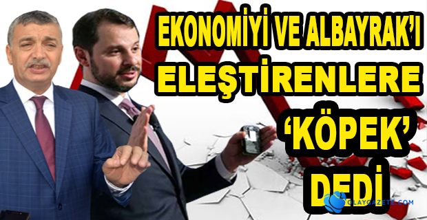 AKP’Lİ VEKİL ALBAYRAK’I ELEŞTİRENLERE ‘KÖPEK’ DEDİ