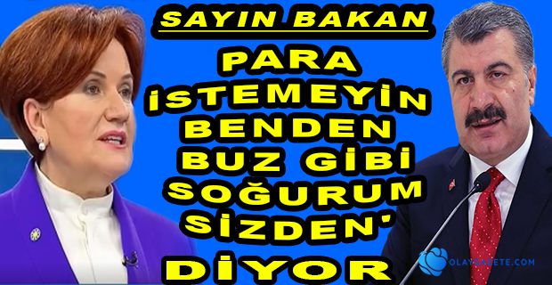AKŞENER