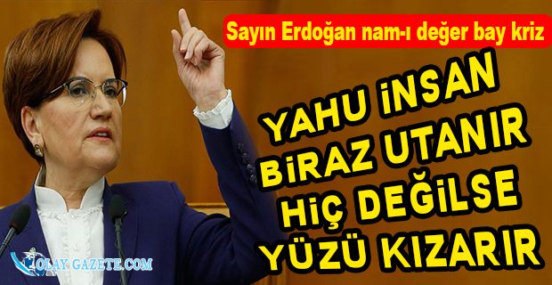 AKŞENER, 