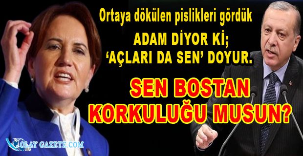 AKŞENER: HIRSIZLIK YAPMAYAN BİR ADAM BİLE OLMAZ MI YANINDA?