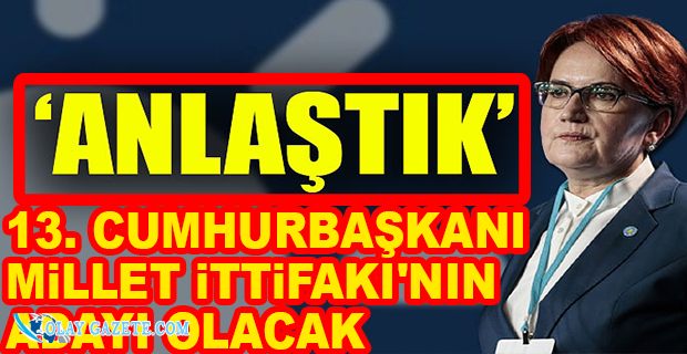 AKŞENER, MİLLET İTTİFAKI