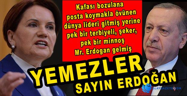 AKŞENER’DEN ERDOĞAN’A 