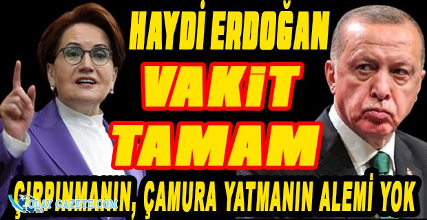 AKŞENER’DEN ERDOĞAN’A TÜM YETKİLER KENDİSİNDE, ETKİ ORTADA
