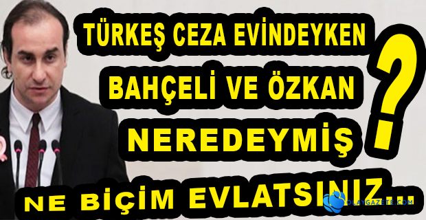 ALPARSLAN TÜRKEŞ