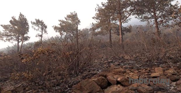 AMANOSLARDAKİ YANGINDA SOĞUTMA ÇALIŞMALARI SÜRÜYOR