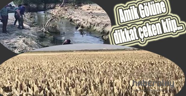 Amik Gölüne dikkat çeken klip…
