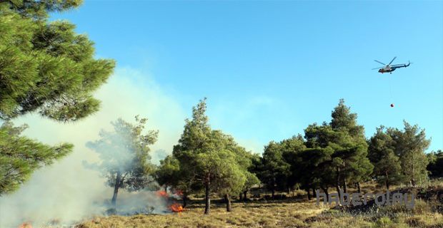 Anız Ateşi Ormanı ve Bahçeyi Yaktı