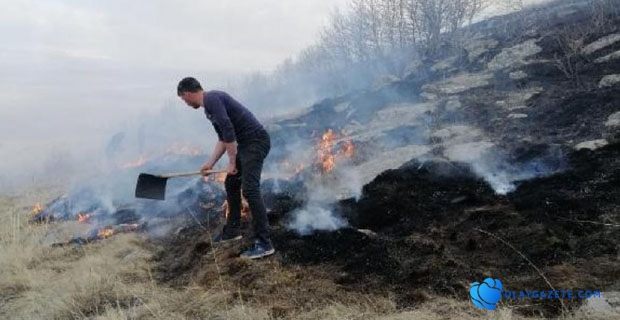 ARDAHAN