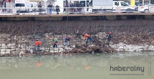 ASİ NEHRİNİN DUVARLARI İNSAN GÜCÜYLE TEMİZLENİYOR