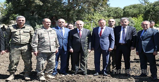 ATA’DAN ZEYTİN FİDAN DİKİMİ 