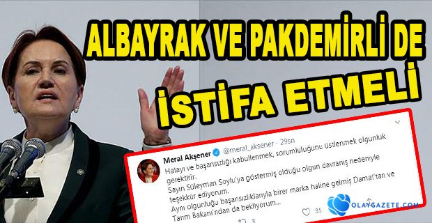 AYNI OLGUNLUĞU  DAMAT