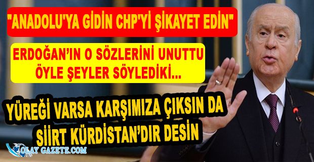 BAHÇELİ