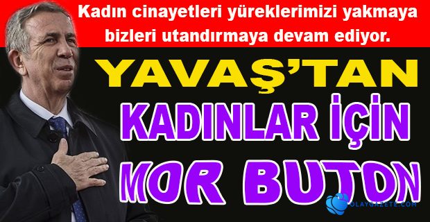 BAŞKENT UYGULAMASINA "MOR BUTON" EKLENDİ