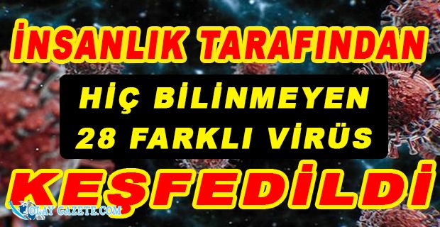 BİLİM İNSANI DUYURDU: HİÇ BİLİNMEYEN 28 FARKLI YENİ VİRÜS TESPİT EDİLDİ