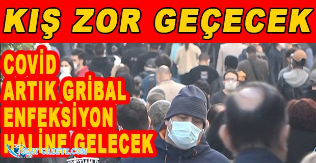 BİLİM KURULU ÜYESİ