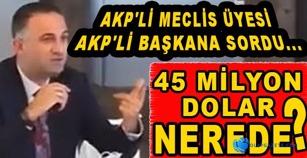 BİR 